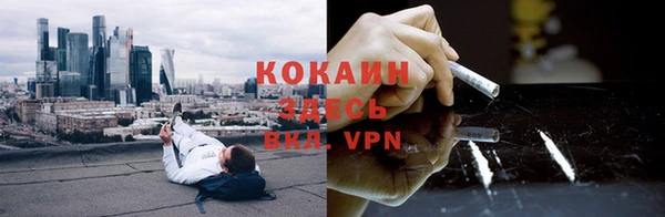 apvp Богородицк