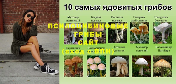 apvp Богородицк