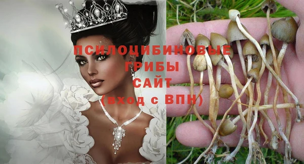 таблы Богородск