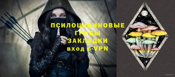 apvp Богородицк