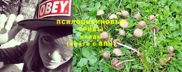 apvp Богородицк