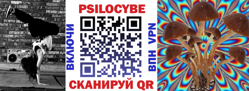 Галлюциногенные грибы Psilocybine cubensis  Венёв 